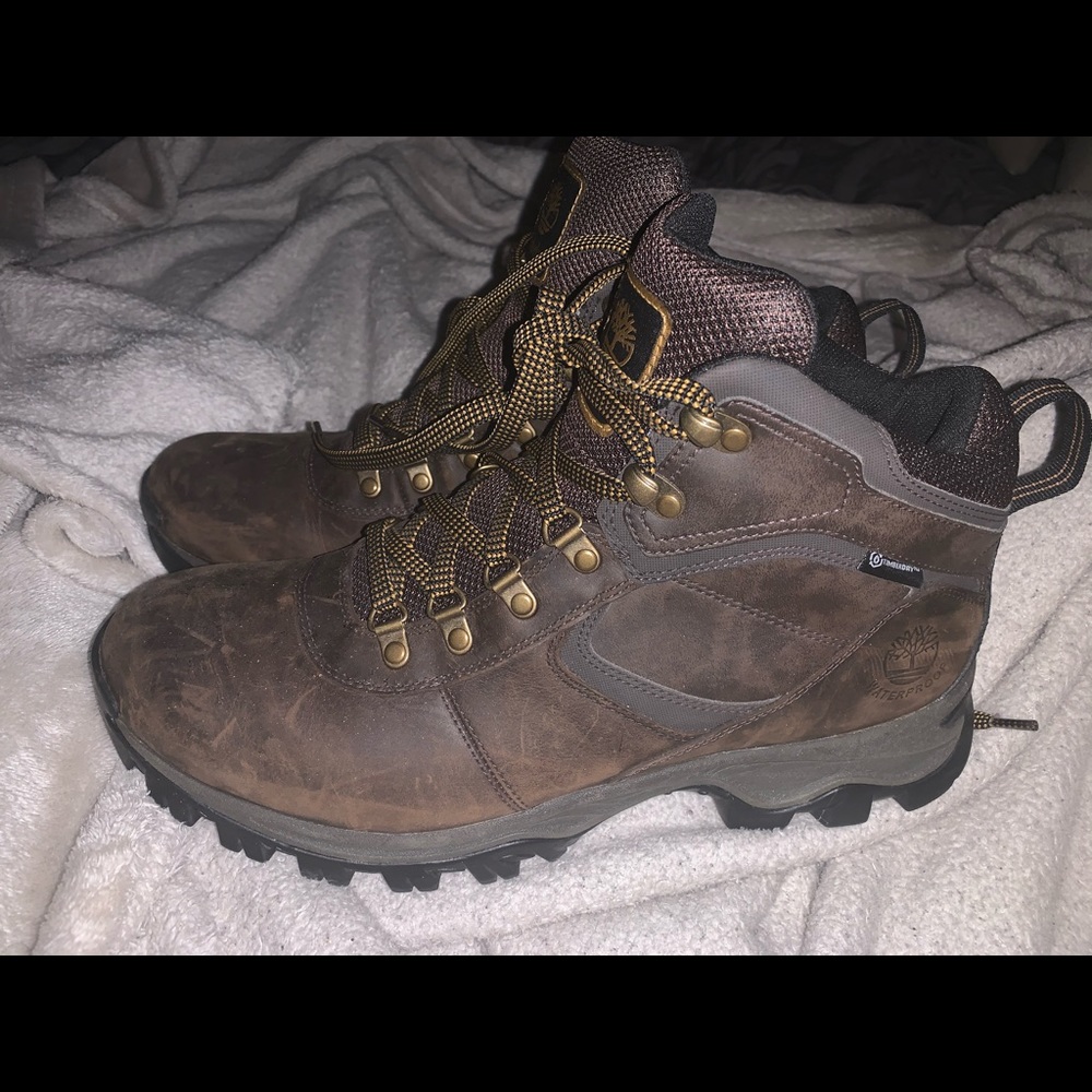 Timberland Mt. Maddsen hiking boot